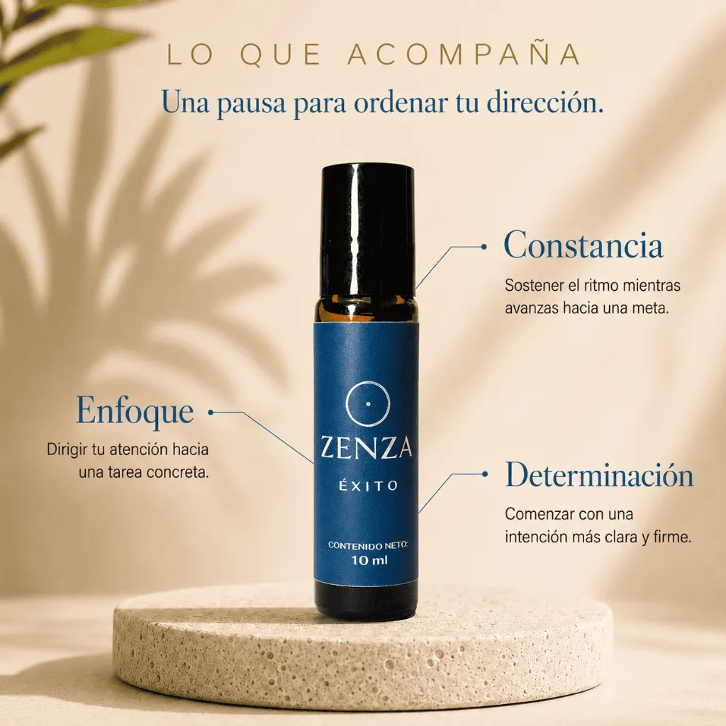 EXITO P2 (1).webp