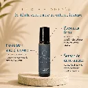 BLINDAJE P2 (1).webp