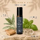BLINDAJE P4 (1).webp